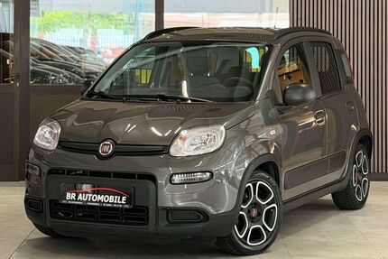 Fiat Panda Gebrauchtwagen