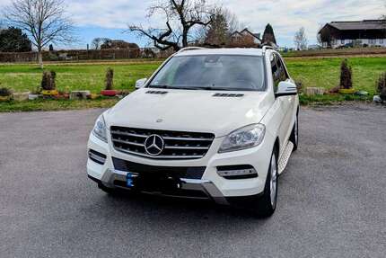 Mercedes-Benz ML 250 Gebrauchtwagen