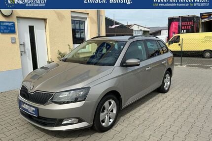 Skoda Fabia Gebrauchtwagen