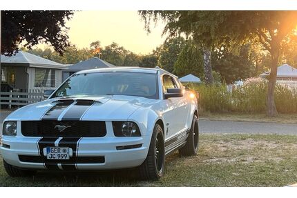 Ford Mustang Gebrauchtwagen