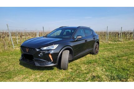 Cupra Formentor Gebrauchtwagen