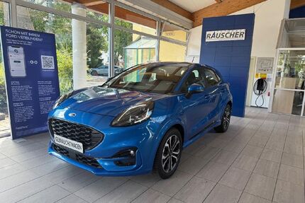 Ford Puma Gebrauchtwagen