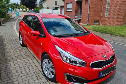 Kia ceed Sportswagon Gebrauchtwagen