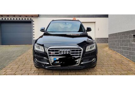 Audi SQ5 Gebrauchtwagen