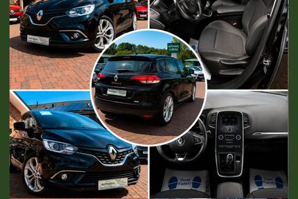 Renault Scenic Gebrauchtwagen