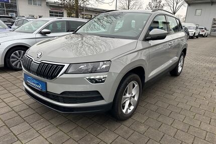 Skoda Karoq Gebrauchtwagen