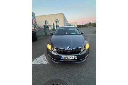 Skoda Andere Gebrauchtwagen