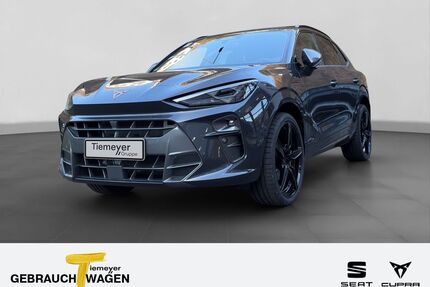Cupra Terramar Gebrauchtwagen