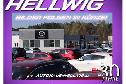 Kia XCeed Gebrauchtwagen