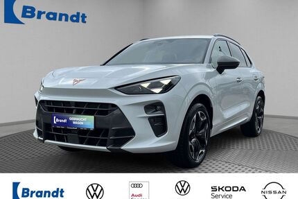 Cupra Terramar Gebrauchtwagen