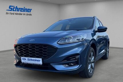 Ford Kuga Gebrauchtwagen