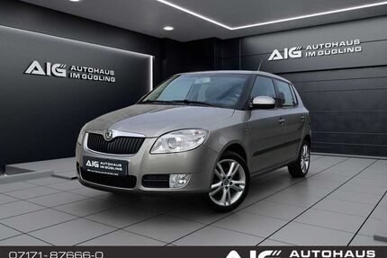 Skoda Fabia Gebrauchtwagen