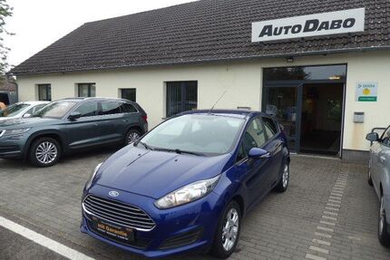 Ford Fiesta Gebrauchtwagen