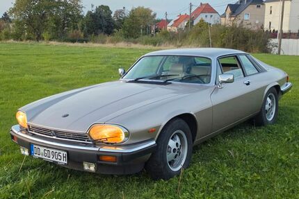 Jaguar XJS Gebrauchtwagen