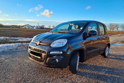 Fiat Panda Gebrauchtwagen