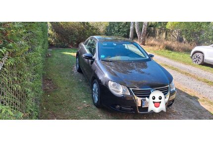 VW Eos Gebrauchtwagen