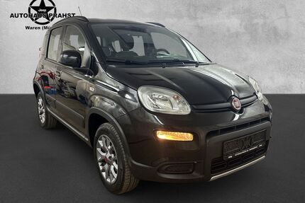 Fiat Panda Gebrauchtwagen