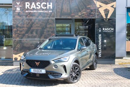 Cupra Formentor Gebrauchtwagen
