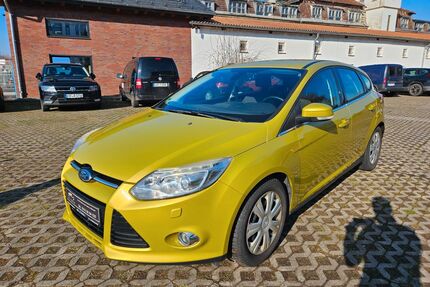 Ford Focus Gebrauchtwagen