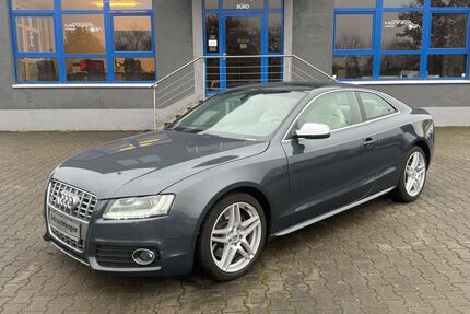 Audi S5 Gebrauchtwagen
