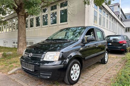 Fiat New Panda Gebrauchtwagen