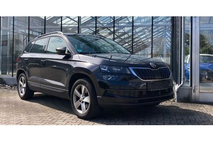Skoda Karoq Gebrauchtwagen