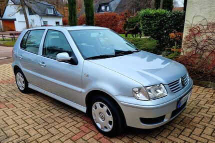 VW Polo Gebrauchtwagen