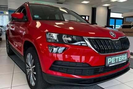 Skoda Karoq Gebrauchtwagen