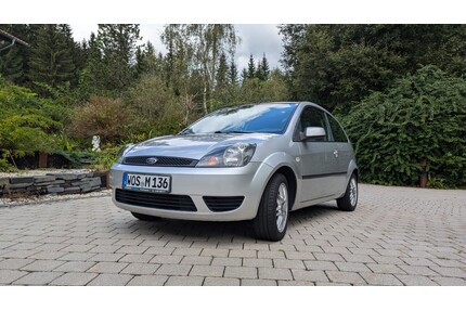Ford Fiesta Gebrauchtwagen