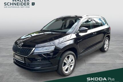 Skoda Karoq Gebrauchtwagen
