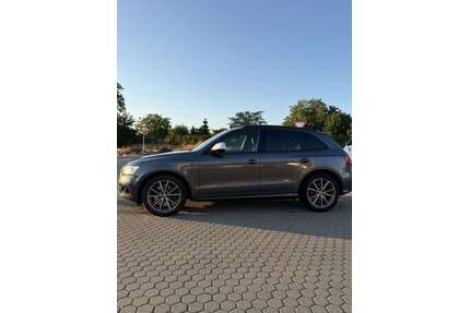 Audi SQ5 Gebrauchtwagen