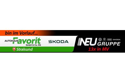 Skoda Enyaq Gebrauchtwagen