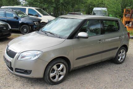 Skoda Fabia Gebrauchtwagen