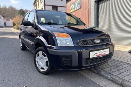 Ford Fusion Gebrauchtwagen