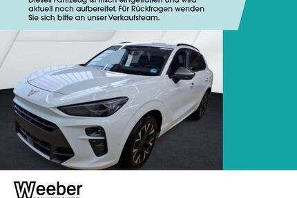 Cupra Terramar Gebrauchtwagen