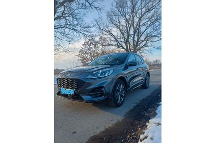 Ford Kuga Gebrauchtwagen