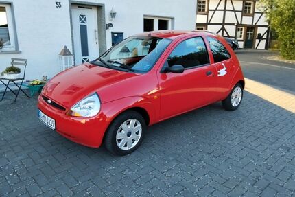 Ford Ka/Ka+ Gebrauchtwagen