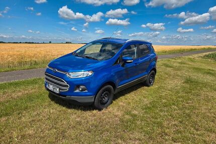 Ford EcoSport Gebrauchtwagen