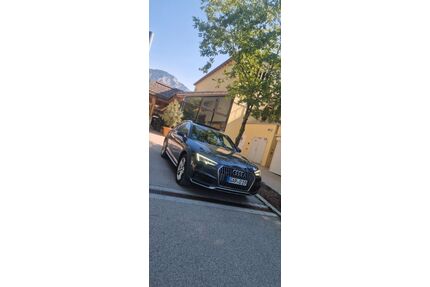 Audi A4 Allroad Gebrauchtwagen