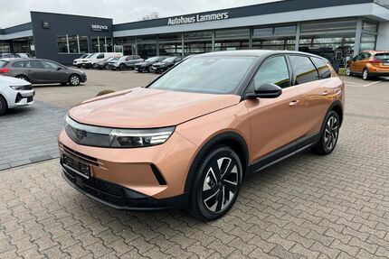 Opel Grandland (X) Gebrauchtwagen