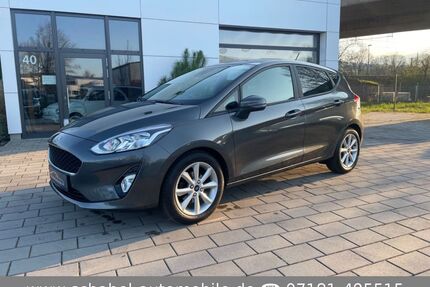 Ford Fiesta Gebrauchtwagen