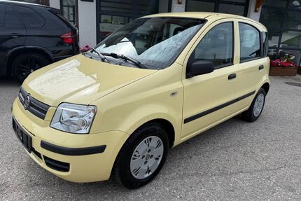 Fiat Panda Gebrauchtwagen