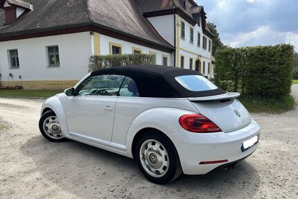 VW Beetle Gebrauchtwagen