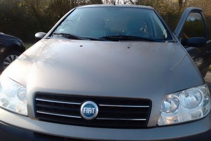 Fiat Punto Gebrauchtwagen