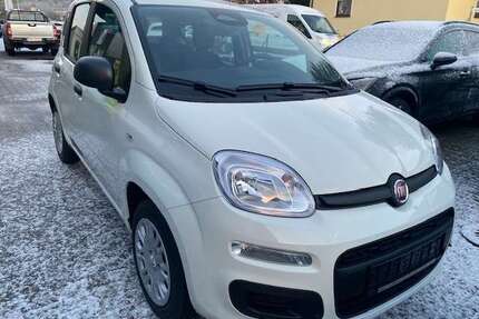 Fiat Panda Gebrauchtwagen