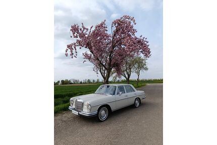Mercedes-Benz 250 Gebrauchtwagen