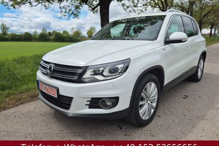 VW Tiguan Gebrauchtwagen