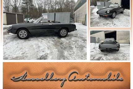 Volvo Spider 1. HAND NUR 85.560 KM UNFALLFREI H-ZULASSUN 