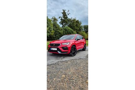 Cupra Ateca Gebrauchtwagen