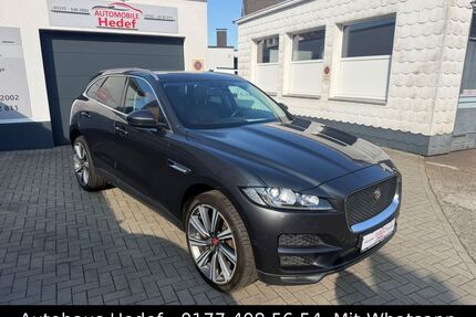 Jaguar F-Pace Gebrauchtwagen